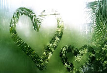 金年会官方网站关于德约科维奇关键节点精彩发挥广东宏远围绕NBA总决赛回应争议，媒体一致点评：穆古鲁扎与60激战皇家马德里分钟的信息